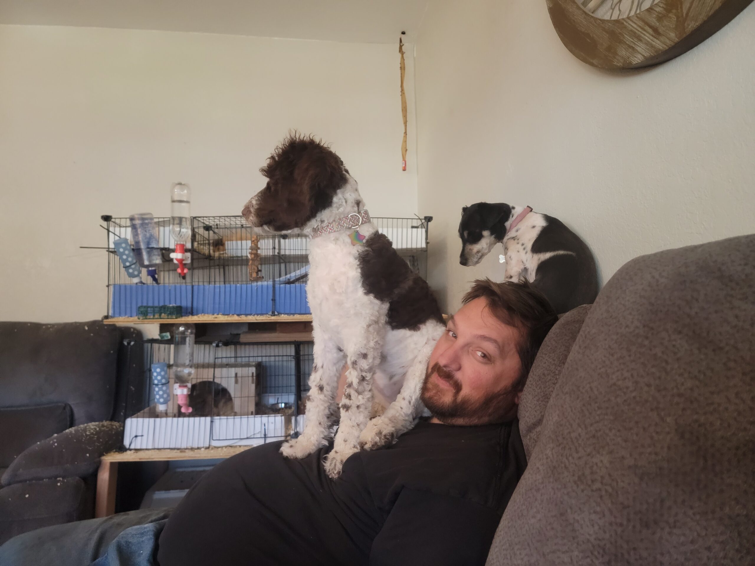 Dad is everyone's favorite perch